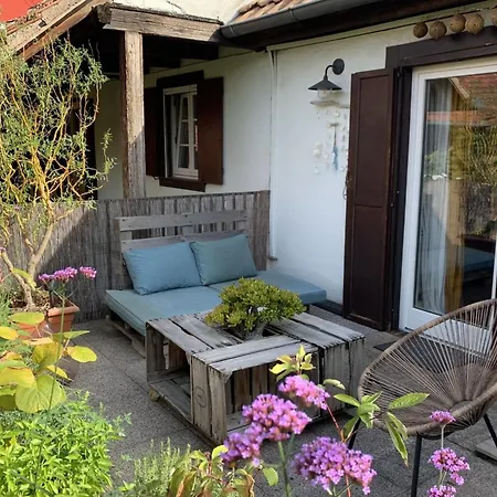 Apartment Le Catalpa In The Heart Of A Mittelhausbergen