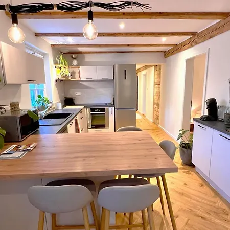 Le Catalpa In The Heart Of A Mittelhausbergen