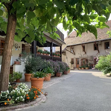 Le Catalpa In The Heart Of A Lejlighed *