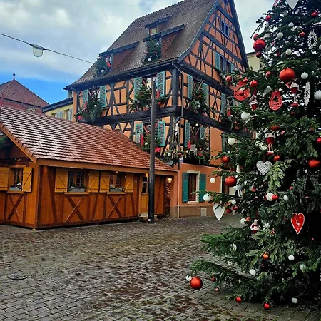 Le Catalpa In The Heart Of A Lejlighed *