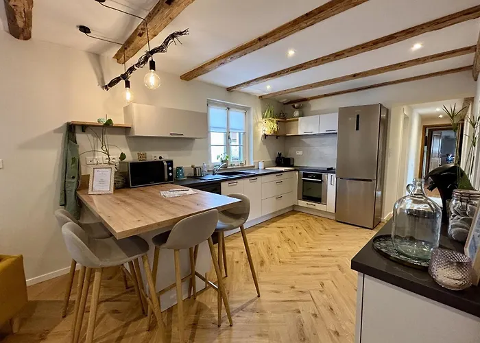 Le Catalpa In The Heart Of A Apartment Mittelhausbergen